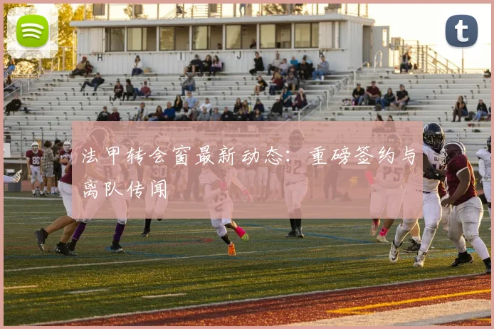 法甲转会窗最新动态：重磅签约与离队传闻